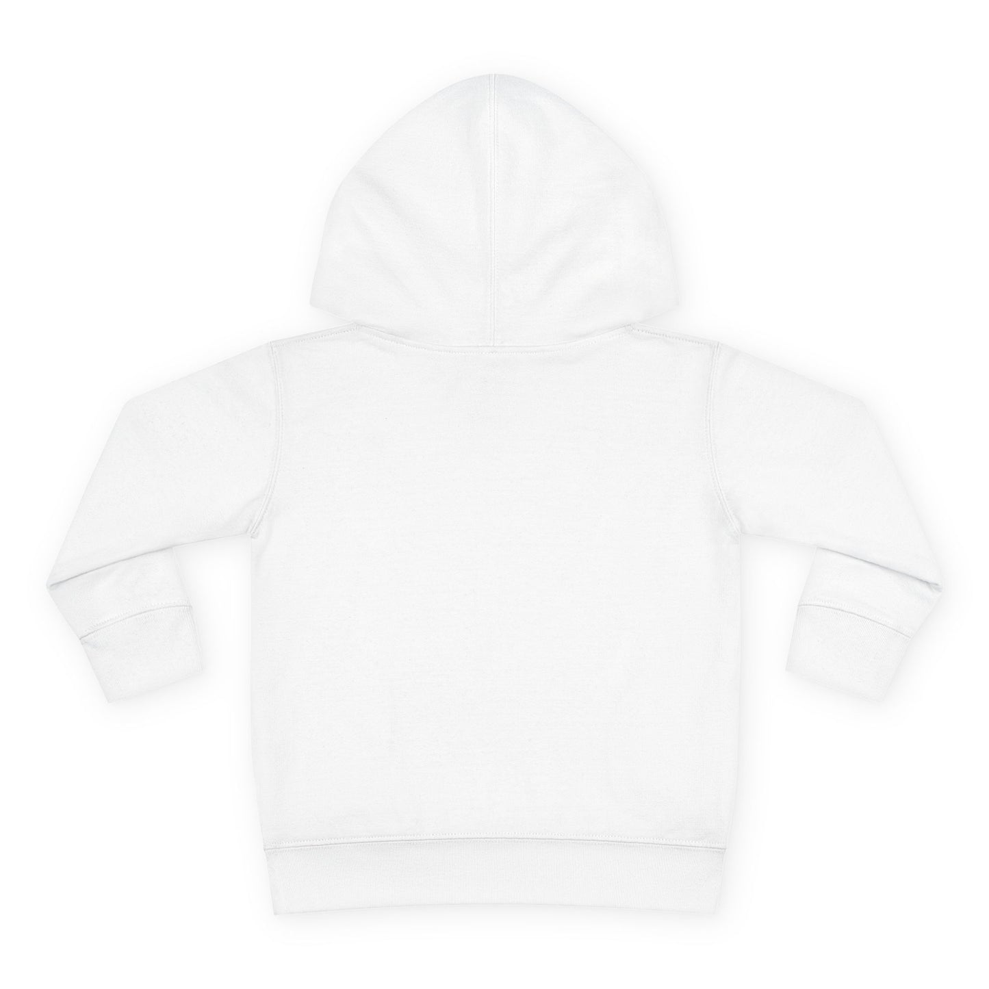 Sassy Little Soul Toddler Hoodie